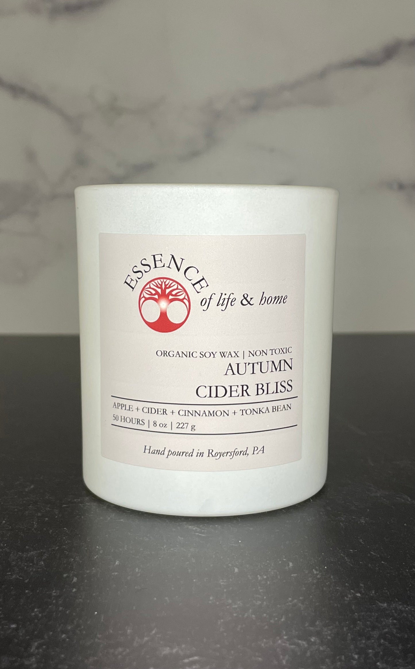 Autumn Cider Bliss | 8oz Candle