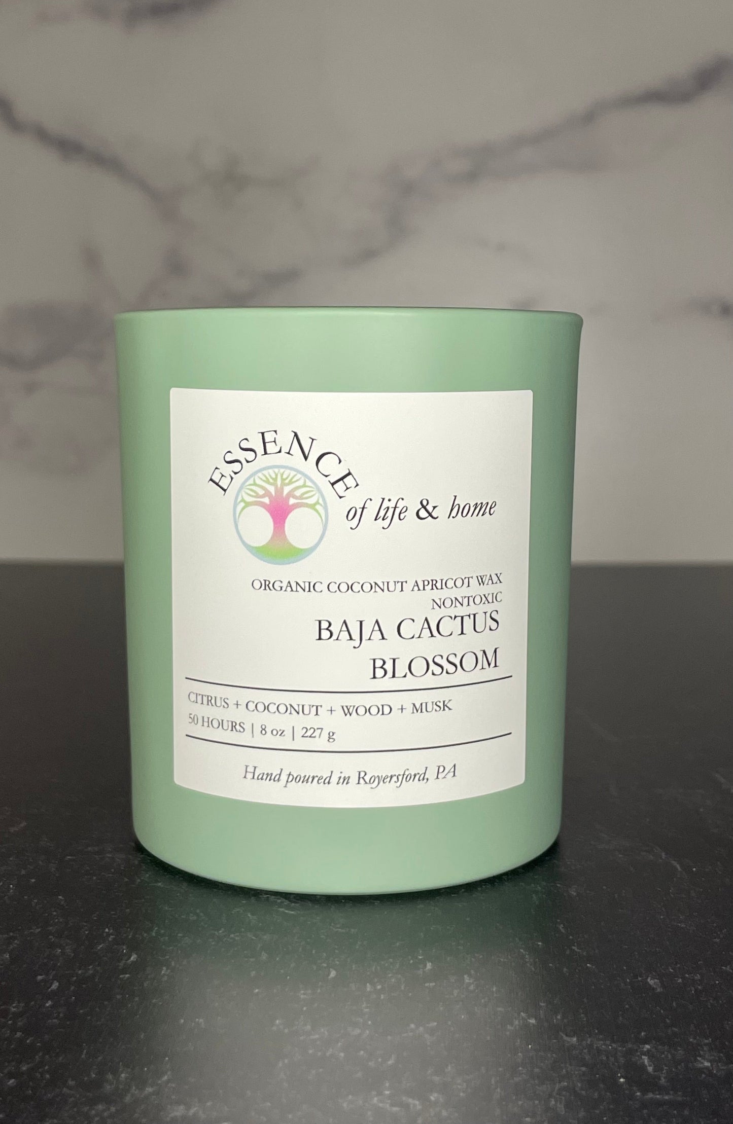 Baja Cactus Blossom | 8oz Candle