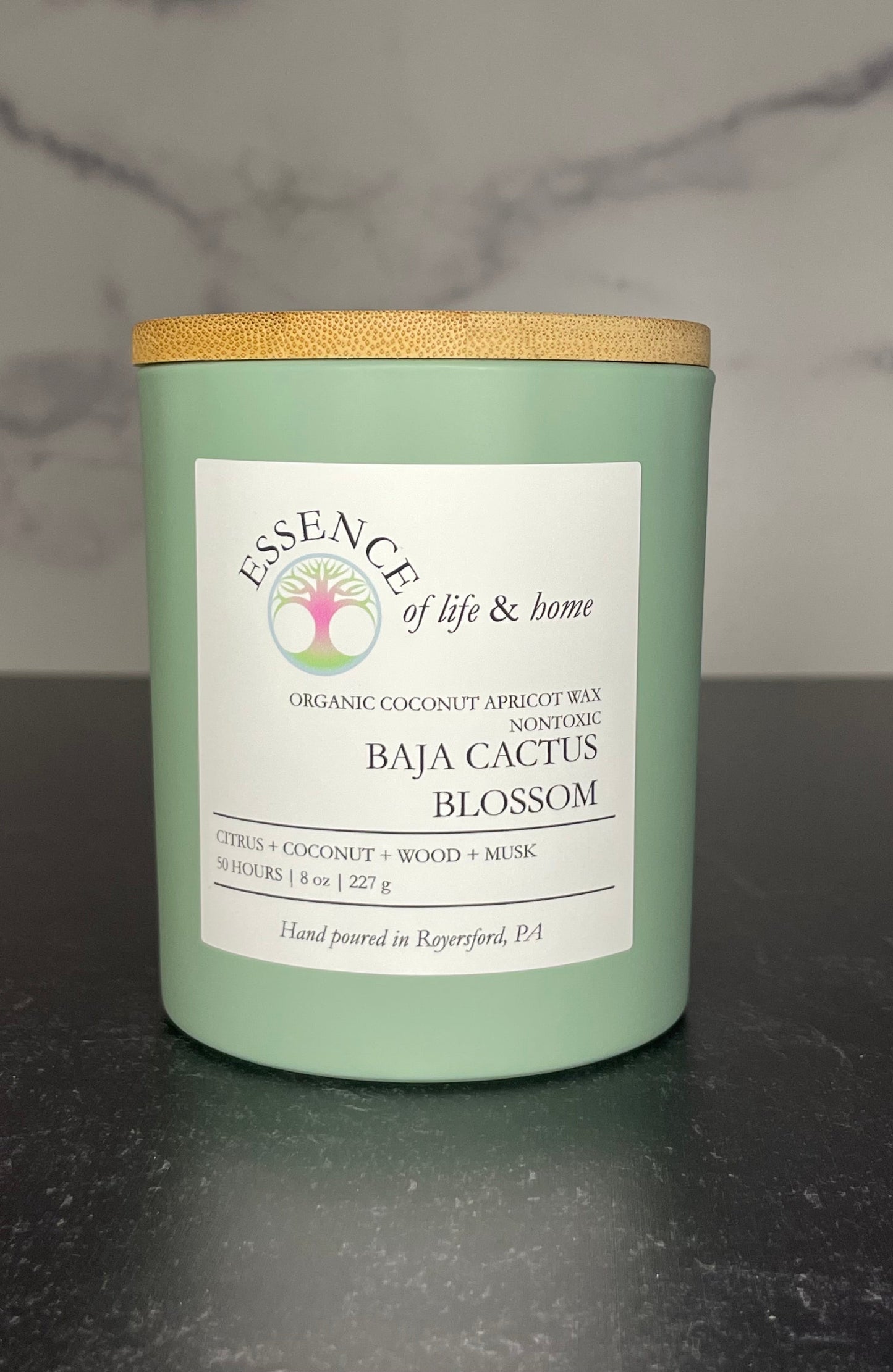 Baja Cactus Blossom | 8oz Candle
