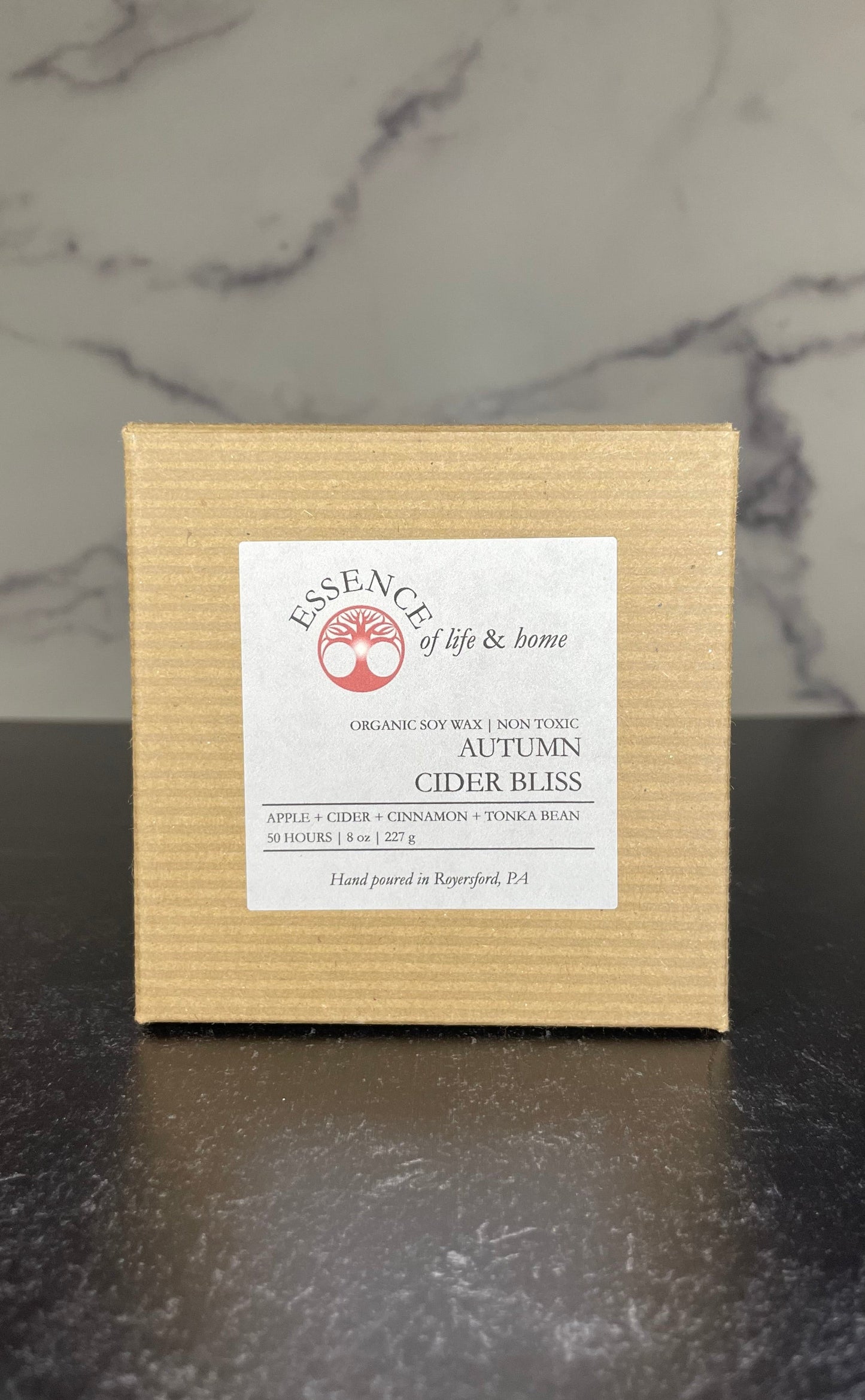 Autumn Cider Bliss | 8oz Candle