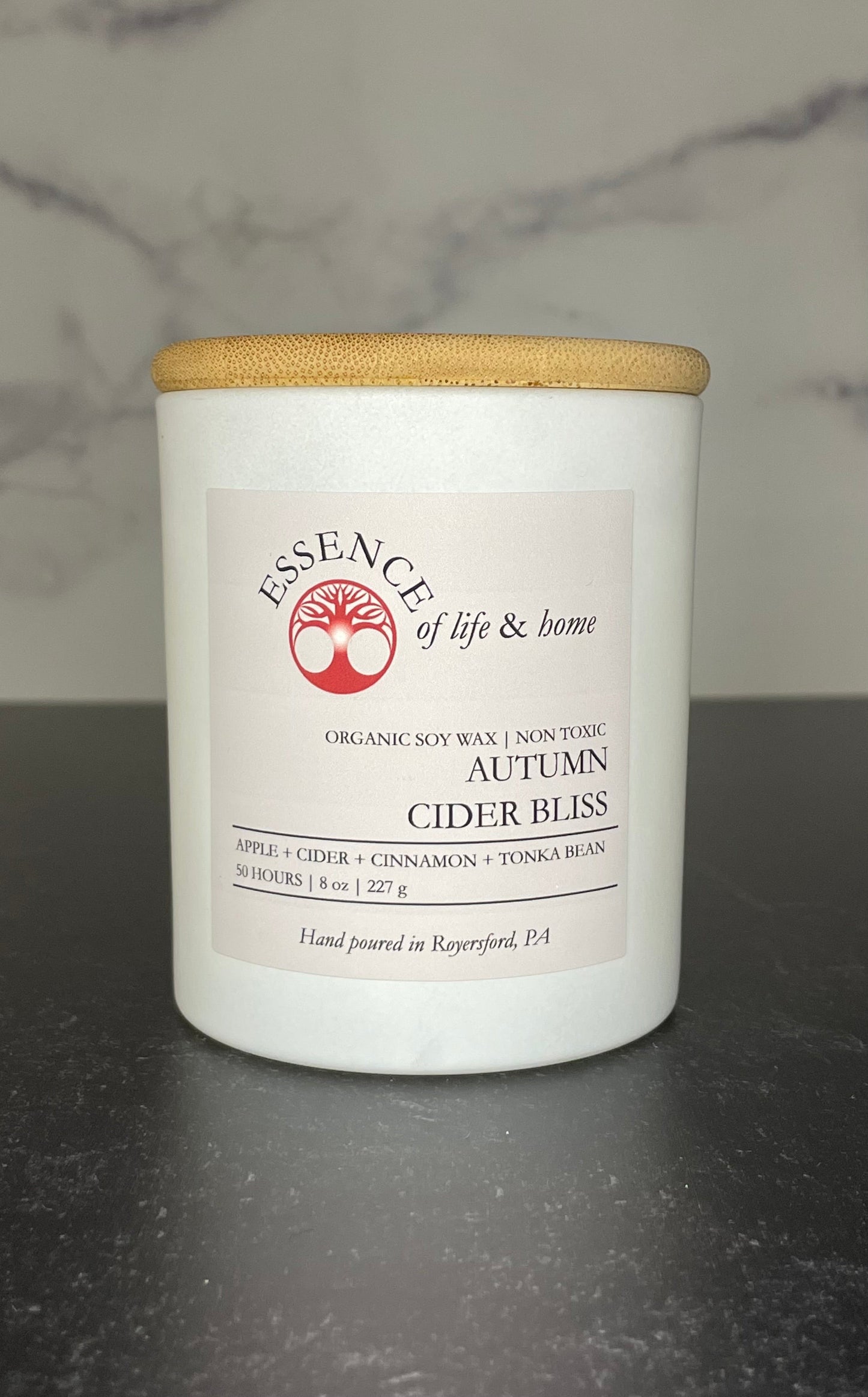 Autumn Cider Bliss | 8oz Candle