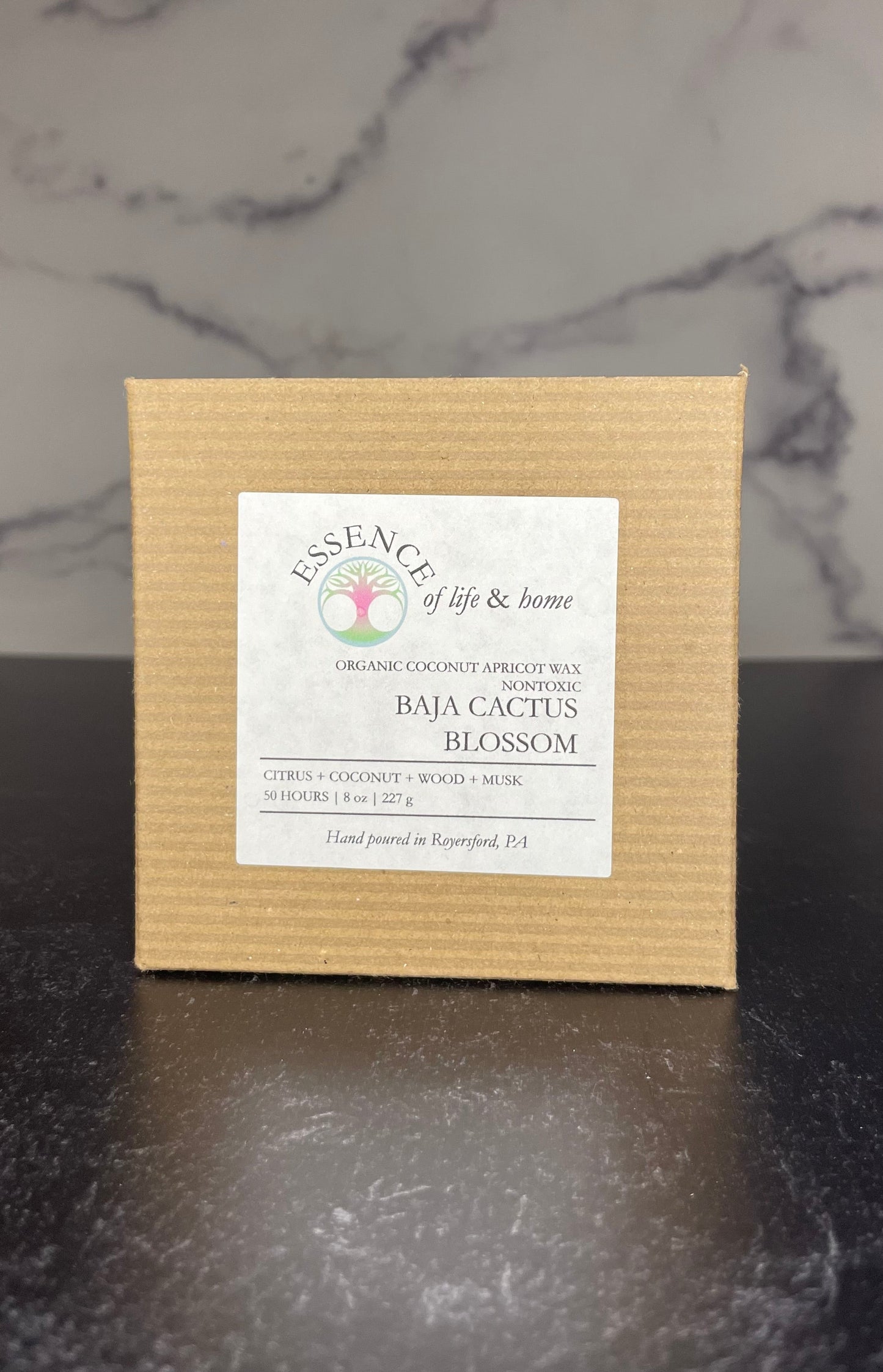 Baja Cactus Blossom | 8oz Candle