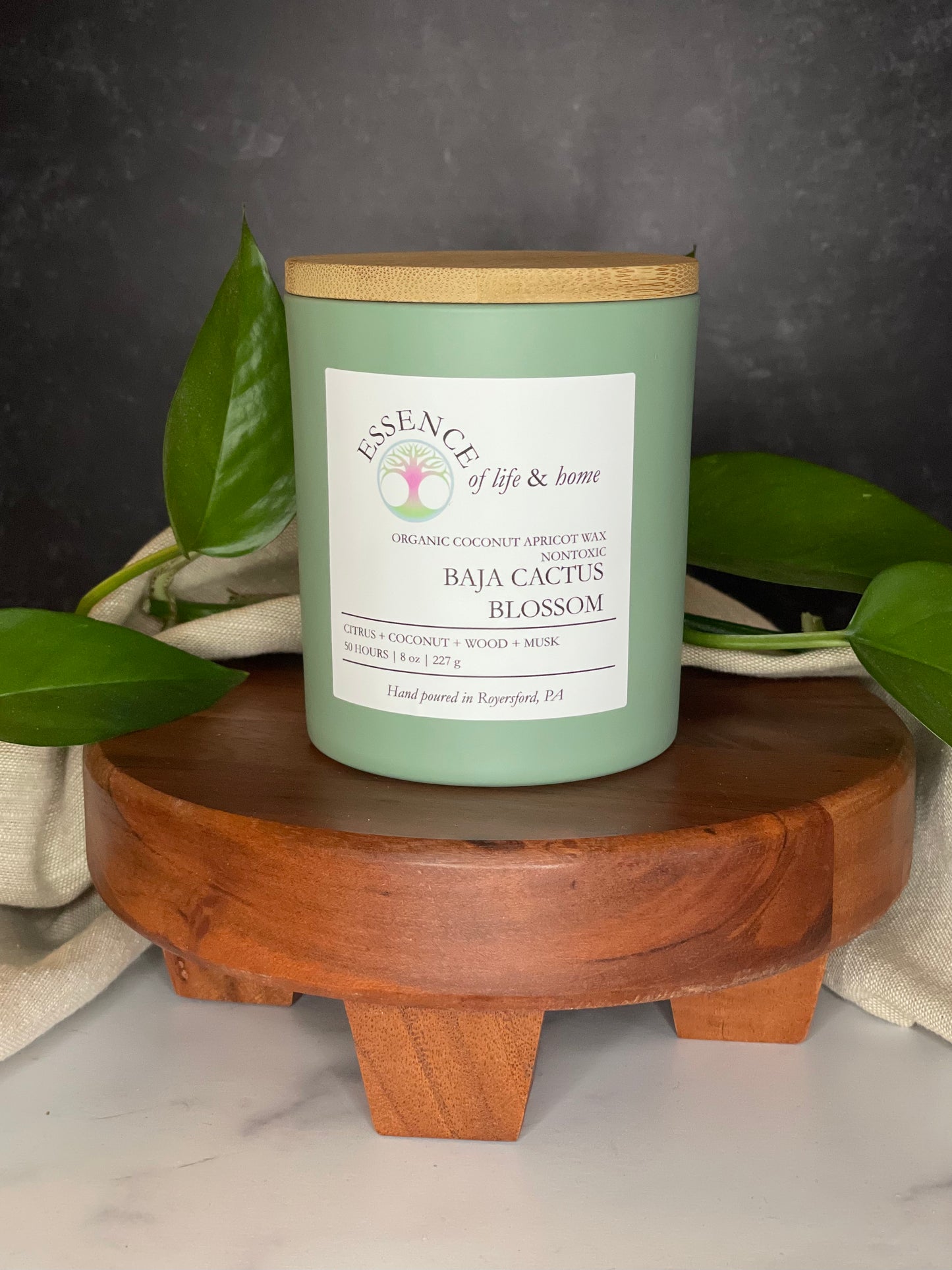 Baja Cactus Blossom | 8oz Candle
