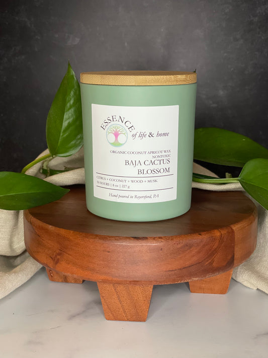 Baja Cactus Blossom | 8oz Candle